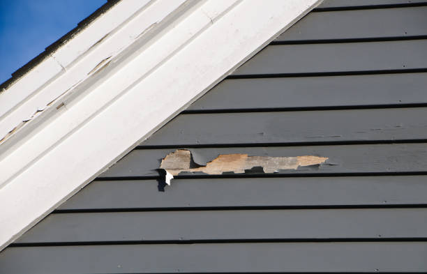 Professional Siding Installation & Repair in Franklin Park, PA